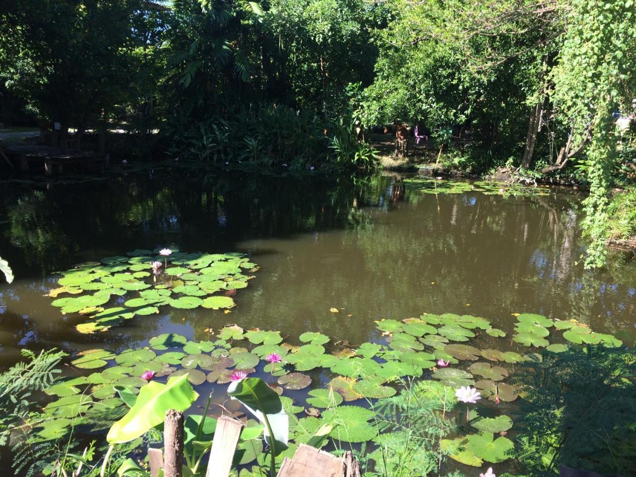 Lotus Place סוקותאי מראה חיצוני תמונה