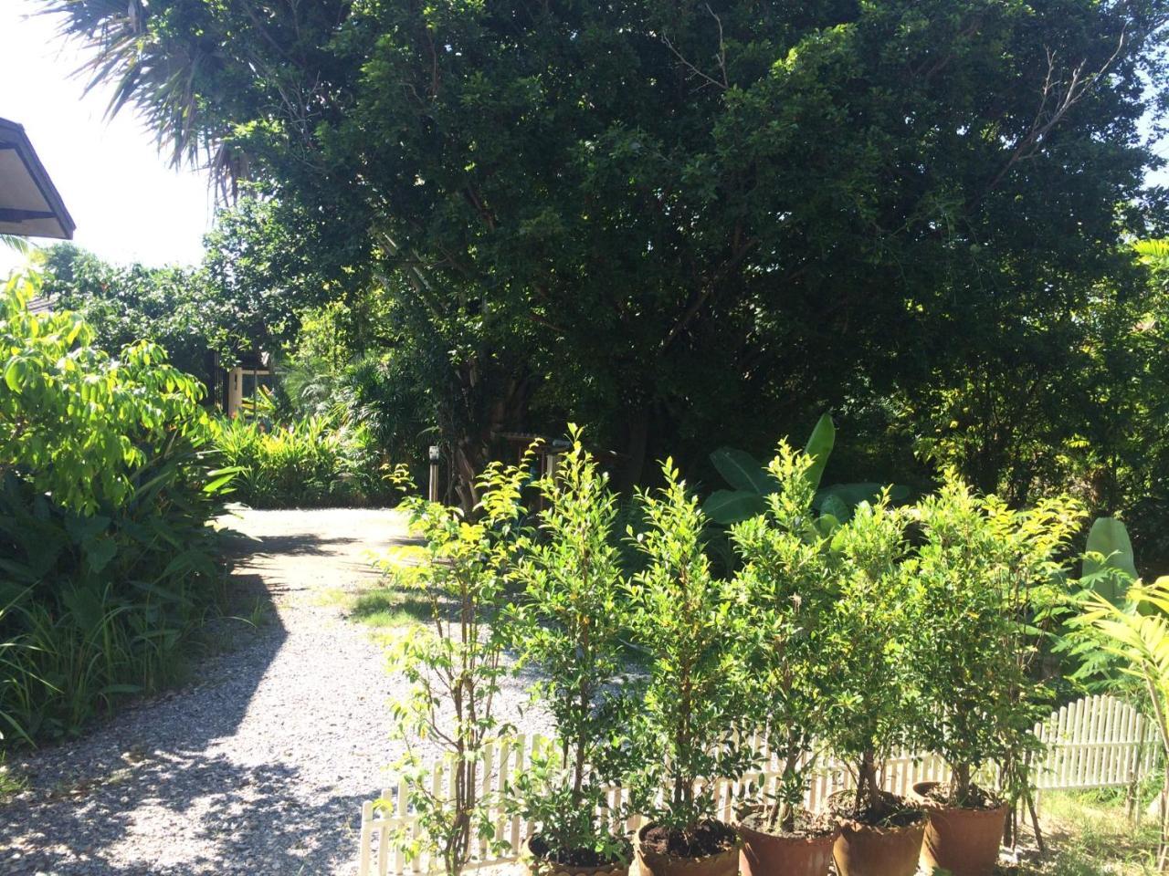 Lotus Place סוקותאי מראה חיצוני תמונה